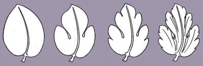 Pulsa para ver la imagen a tamaño completo